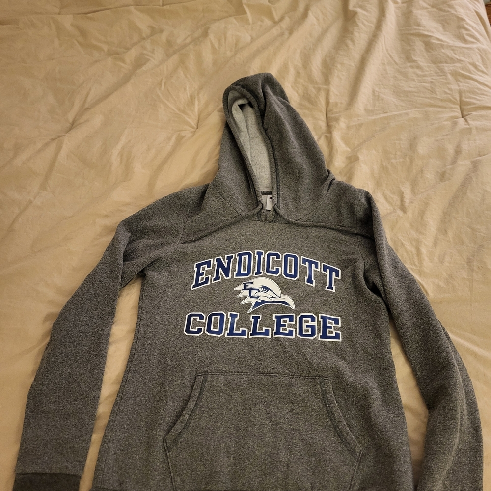 Endicott College Champion Gray Athletic Hoodie - Women's Medium